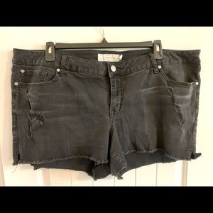 Torrid Jean Shorts
